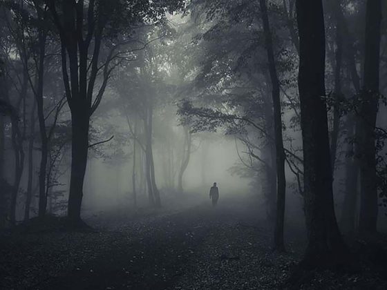 Spooky Scary Skeletons #1 – Happy Halloween! Spooky Scary Skeletons #1 – Happy Halloween!